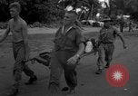 Standbild L-5 Sentinel Flugzeuge Saidor New Guinea, 1944, aus Sekunde 44 historischem Filmmaterial Videoclip 65675072746