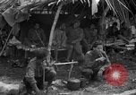Immagine di Liberato il Punjab indiano POWs Senai Nuova Guinea, 1944, secondo 28 filmato di repertorio 65675072747