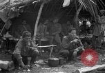 Immagine di Liberato il Punjab indiano POWs Senai Nuova Guinea, 1944, secondo 32 filmato di repertorio 65675072747