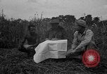Image of Ferrying Indian soldiers in L-4 airplanes Senai New Guinea, 1944, second 18 stock footage video 65675072749