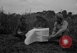 Image of Ferrying Indian soldiers in L-4 airplanes Senai New Guinea, 1944, second 20 stock footage video 65675072749