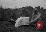 Image of Ferrying Indian soldiers in L-4 airplanes Senai New Guinea, 1944, second 21 stock footage video 65675072749