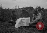 Image of Ferrying Indian soldiers in L-4 airplanes Senai New Guinea, 1944, second 22 stock footage video 65675072749
