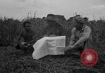 Image of Ferrying Indian soldiers in L-4 airplanes Senai New Guinea, 1944, second 23 stock footage video 65675072749