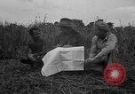 Image of Ferrying Indian soldiers in L-4 airplanes Senai New Guinea, 1944, second 24 stock footage video 65675072749