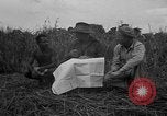 Image of Ferrying Indian soldiers in L-4 airplanes Senai New Guinea, 1944, second 26 stock footage video 65675072749