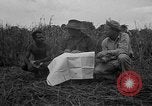 Image of Ferrying Indian soldiers in L-4 airplanes Senai New Guinea, 1944, second 27 stock footage video 65675072749