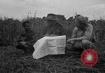Image of Ferrying Indian soldiers in L-4 airplanes Senai New Guinea, 1944, second 28 stock footage video 65675072749