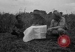 Image of Ferrying Indian soldiers in L-4 airplanes Senai New Guinea, 1944, second 29 stock footage video 65675072749