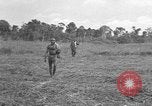 Image of Ferrying Indian soldiers in L-4 airplanes Senai New Guinea, 1944, second 30 stock footage video 65675072749