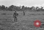 Image of Ferrying Indian soldiers in L-4 airplanes Senai New Guinea, 1944, second 31 stock footage video 65675072749
