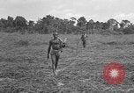 Image of Ferrying Indian soldiers in L-4 airplanes Senai New Guinea, 1944, second 32 stock footage video 65675072749