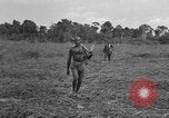 Image of Ferrying Indian soldiers in L-4 airplanes Senai New Guinea, 1944, second 33 stock footage video 65675072749