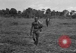 Image of Ferrying Indian soldiers in L-4 airplanes Senai New Guinea, 1944, second 34 stock footage video 65675072749