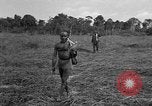 Image of Ferrying Indian soldiers in L-4 airplanes Senai New Guinea, 1944, second 35 stock footage video 65675072749