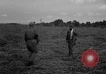 Image of Ferrying Indian soldiers in L-4 airplanes Senai New Guinea, 1944, second 36 stock footage video 65675072749