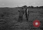 Image of Ferrying Indian soldiers in L-4 airplanes Senai New Guinea, 1944, second 43 stock footage video 65675072749