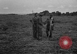 Image of Ferrying Indian soldiers in L-4 airplanes Senai New Guinea, 1944, second 45 stock footage video 65675072749