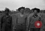 Image of Ferrying Indian soldiers in L-4 airplanes Senai New Guinea, 1944, second 57 stock footage video 65675072749