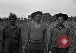 Image of Ferrying Indian soldiers in L-4 airplanes Senai New Guinea, 1944, second 58 stock footage video 65675072749