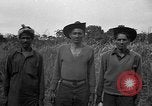 Image of Ferrying Indian soldiers in L-4 airplanes Senai New Guinea, 1944, second 59 stock footage video 65675072749