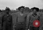 Image of Ferrying Indian soldiers in L-4 airplanes Senai New Guinea, 1944, second 60 stock footage video 65675072749
