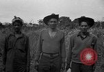 Image of Ferrying Indian soldiers in L-4 airplanes Senai New Guinea, 1944, second 61 stock footage video 65675072749