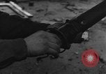 Image of Piper L-4 Grasshopper aircraft Germany, 1944, second 16 stock footage video 65675072758