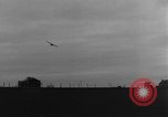 Image of Piper L-4 Grasshopper aircraft Germany, 1944, second 39 stock footage video 65675072758