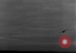 Image of Piper L-4 Grasshopper aircraft Germany, 1944, second 49 stock footage video 65675072758