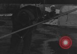 Image of Piper L-4 Grasshopper aircraft Germany, 1944, second 13 stock footage video 65675072759
