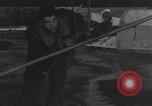 Image of Piper L-4 Grasshopper aircraft Germany, 1944, second 15 stock footage video 65675072759