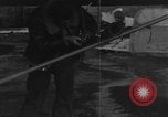 Image of Piper L-4 Grasshopper aircraft Germany, 1944, second 18 stock footage video 65675072759