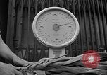 Image of German civilians Stuttgart Germany, 1945, second 22 stock footage video 65675072768