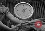 Image of German civilians Stuttgart Germany, 1945, second 26 stock footage video 65675072768