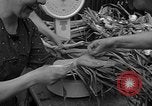 Image of German civilians Stuttgart Germany, 1945, second 29 stock footage video 65675072768