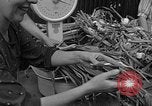 Image of German civilians Stuttgart Germany, 1945, second 31 stock footage video 65675072768