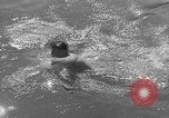 Image of German civilians Stuttgart Germany, 1945, second 27 stock footage video 65675072769