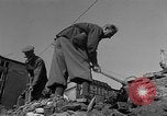 Image of German workers Stuttgart Germany, 1945, second 61 stock footage video 65675072771