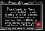 Image ranch United States USA, 1922, de la seconde 20 séquences d'archives historiques vidéo 65675072780