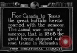 Image ranch United States USA, 1922, de la seconde 23 séquences d'archives historiques vidéo 65675072780