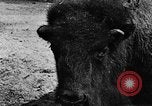 Image ranch United States USA, 1922, de la seconde 33 séquences d'archives historiques vidéo 65675072780