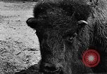 Image ranch United States USA, 1922, de la seconde 34 séquences d'archives historiques vidéo 65675072780