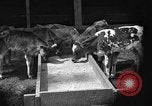 Image ranch United States USA, 1922, de la seconde 10 séquences d'archives historiques vidéo 65675072781