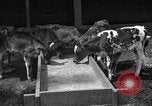 Image ranch United States USA, 1922, de la seconde 12 séquences d'archives historiques vidéo 65675072781