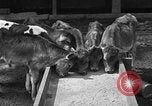 Image ranch United States USA, 1922, de la seconde 16 séquences d'archives historiques vidéo 65675072781