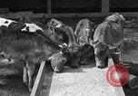Image ranch United States USA, 1922, de la seconde 17 séquences d'archives historiques vidéo 65675072781