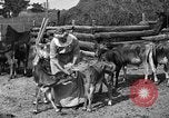 Image ranch United States USA, 1922, de la seconde 34 séquences d'archives historiques vidéo 65675072781