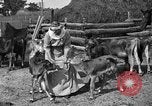 Image ranch United States USA, 1922, de la seconde 35 séquences d'archives historiques vidéo 65675072781