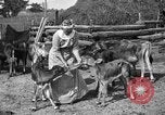 Image ranch United States USA, 1922, de la seconde 37 séquences d'archives historiques vidéo 65675072781